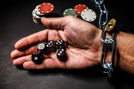 Зеркало Kaktuz Casino